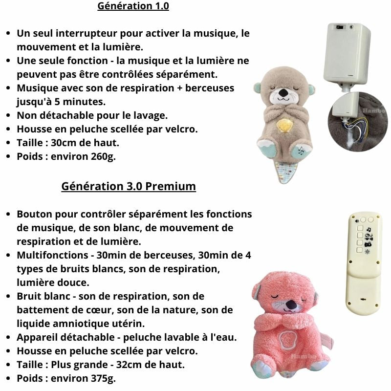 CâlinsLoutre- Apaisement, Sécurité, Douceur
