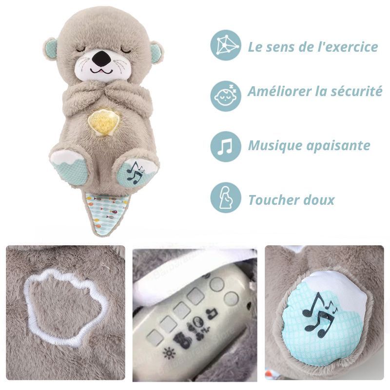 CâlinsLoutre- Apaisement, Sécurité, Douceur