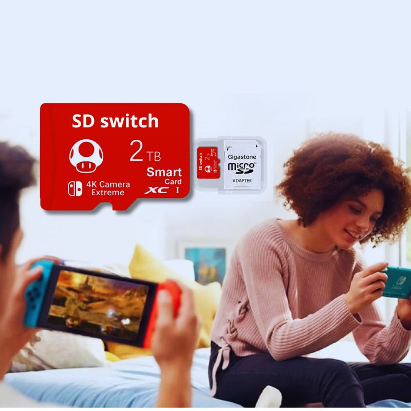 carte-micro-sd-switch