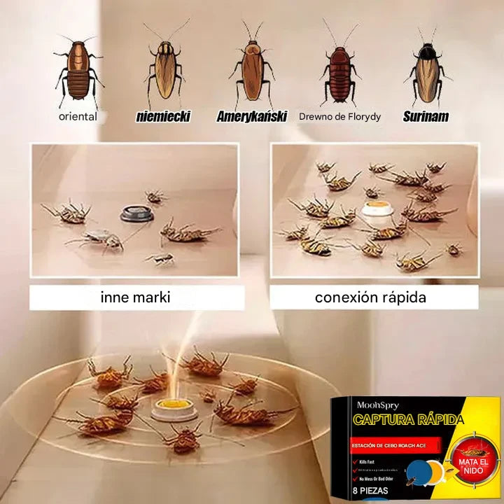 AntiBlattas™ – Elimina infecciones y colonias en días