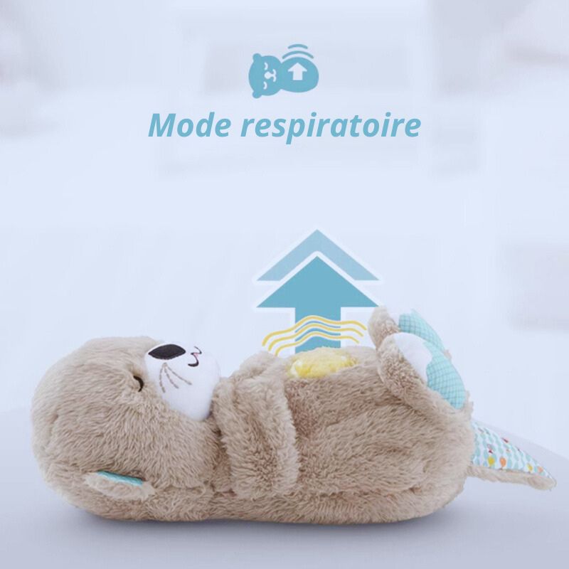 CâlinsLoutre- Apaisement, Sécurité, Douceur