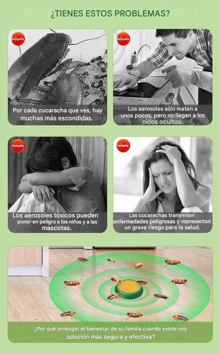 AntiBlattas™ – Elimina infecciones y colonias en días