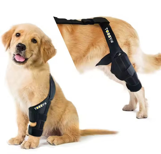TOBBY™ – Arnés Médico para Pets: recupero, conforto e libertà