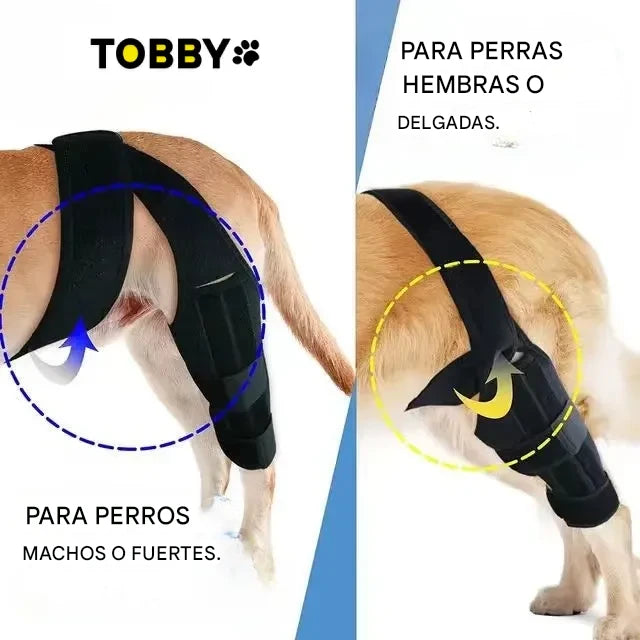 TOBBY™ – Arnés Médico para Mascotas: Recuperación, Confort y Libertad