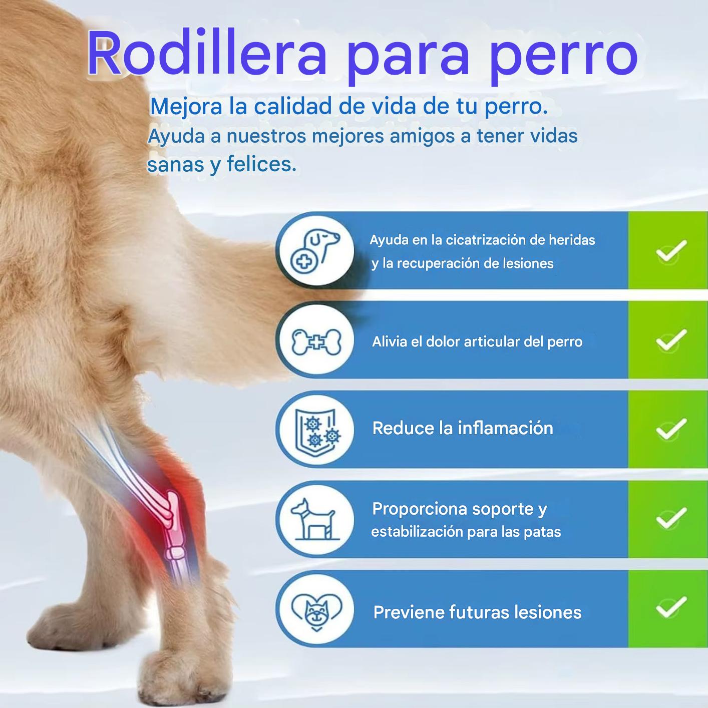 TOBBY™ – Arnés Médico para Mascotas: Recuperación, Confort y Libertad
