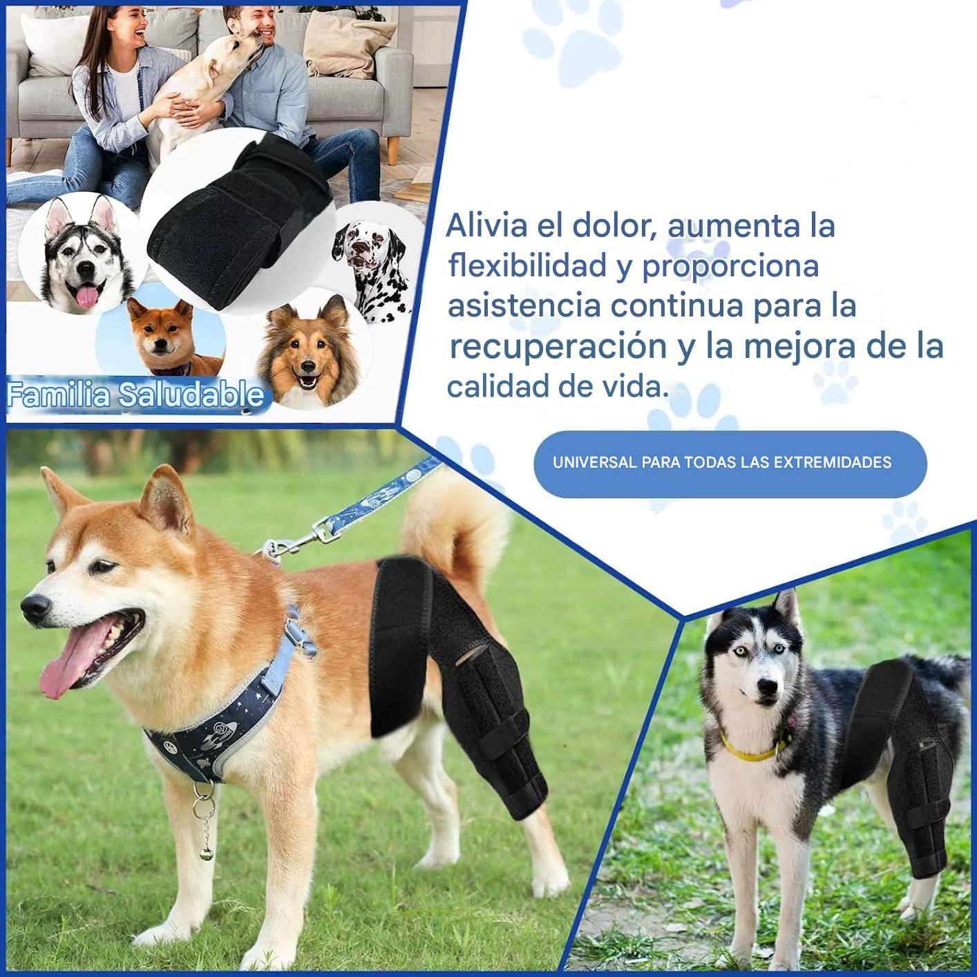 TOBBY™ – Arnés Médico para Mascotas: Recuperación, Confort y Libertad