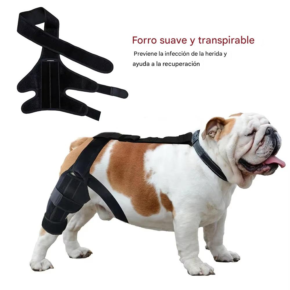 TOBBY™ – Arnés Médico para Mascotas: Recuperación, Confort y Libertad