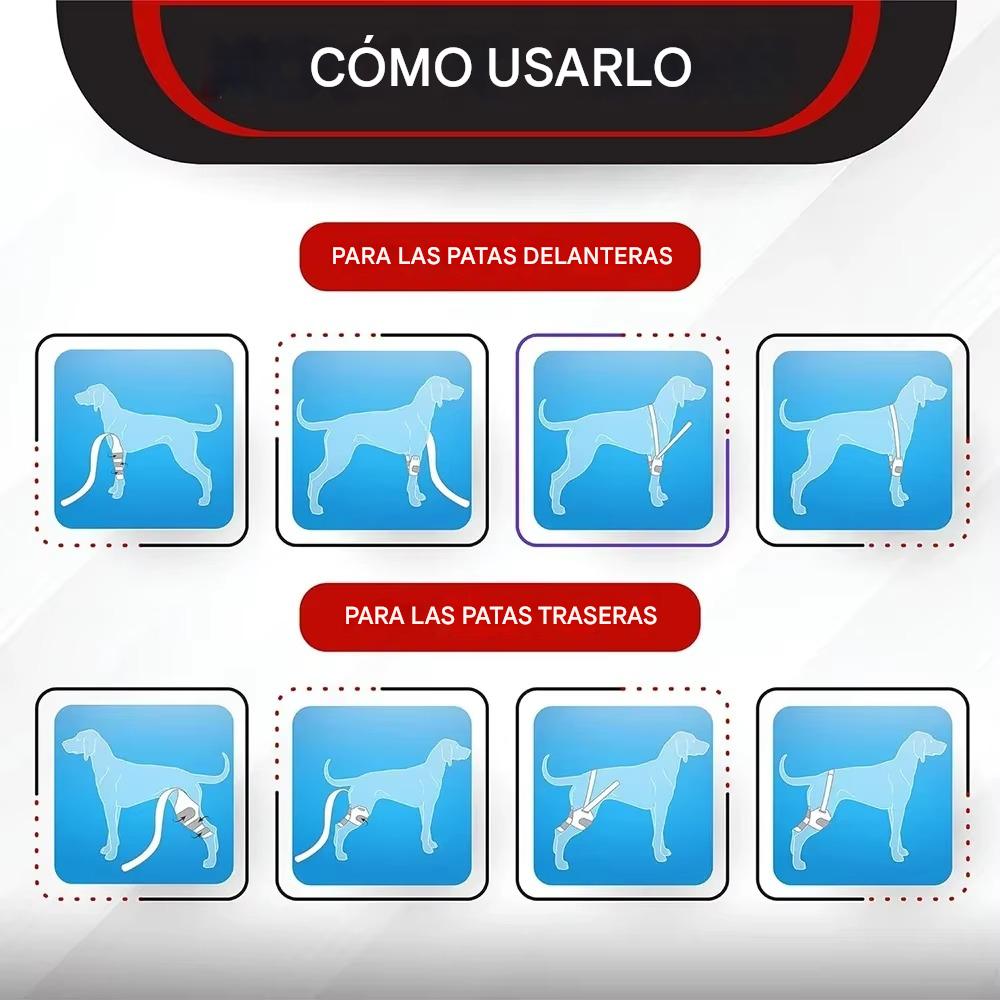 TOBBY™ – Arnés Médico para Mascotas: Recuperación, Confort y Libertad