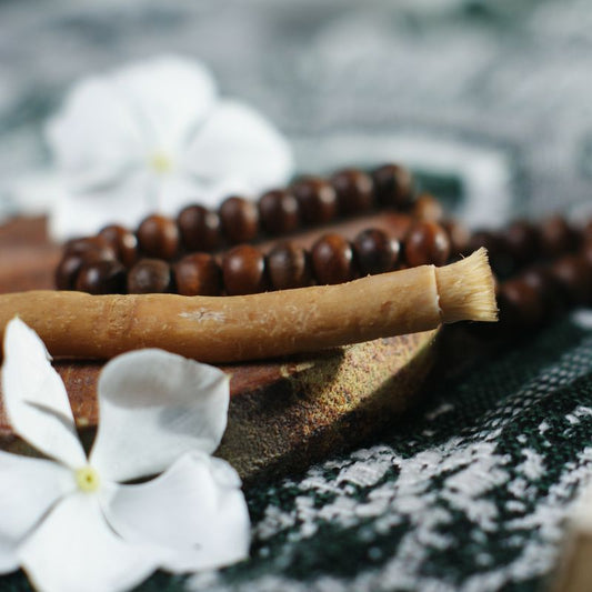 Miswak traditionel et authentique