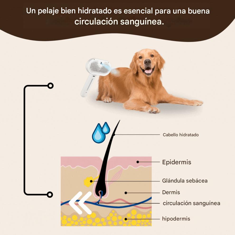 PeineMágico™ – Curado y fresco para tu mascota