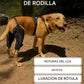 TOBBY™ – Arnés Médico para Mascotas: Recuperación, Confort y Libertad