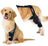 TOBBY™ – Arnés Médico para Pets: recupero, conforto e libertà