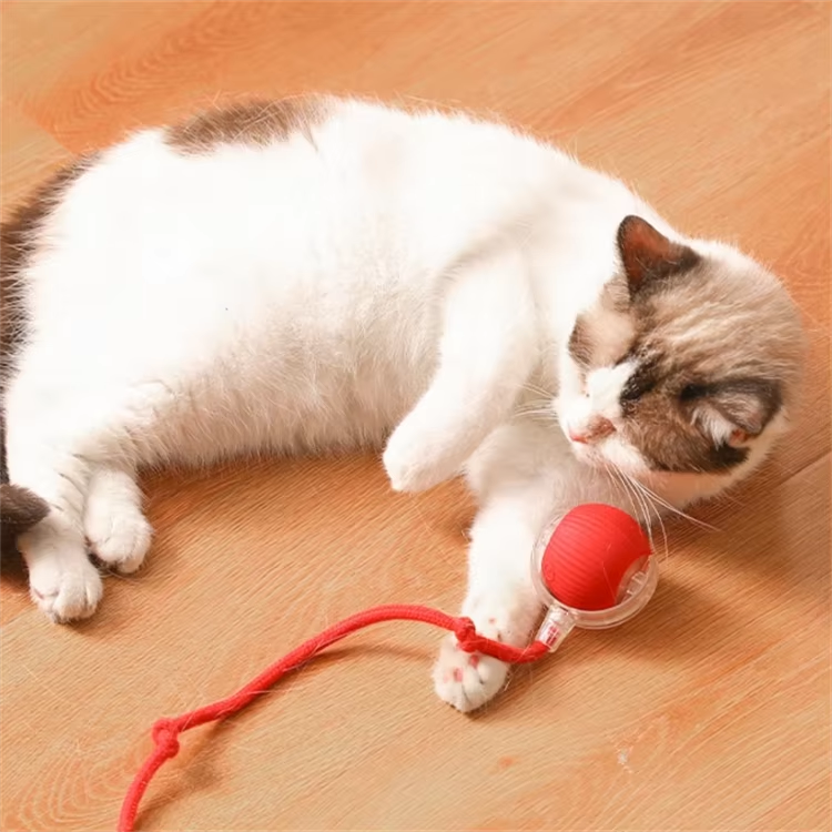 Bolamágica – ¡Diversión sin fin para tu gato!