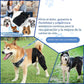 TOBBY™ – Arnés Médico para Mascotas: Recuperación, Confort y Libertad
