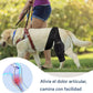 TOBBY™ – Arnés Médico para Mascotas: Recuperación, Confort y Libertad