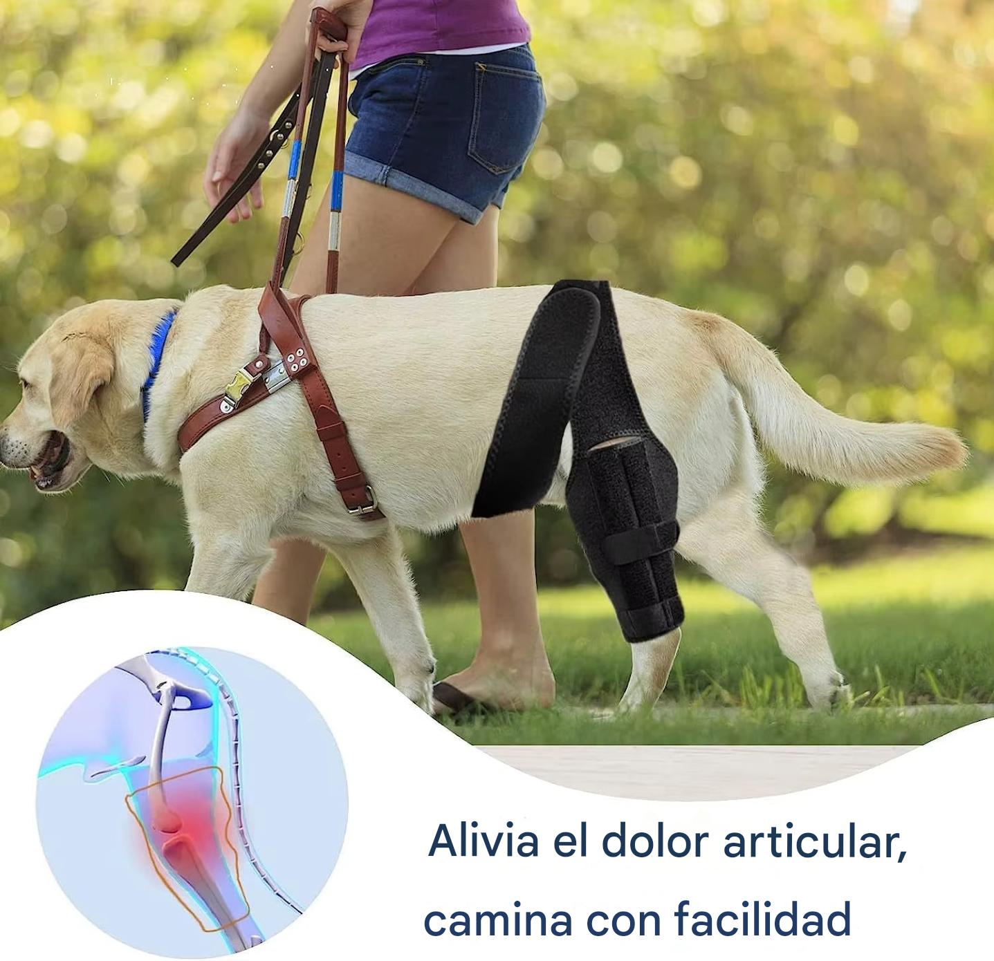 TOBBY™ – Arnés Médico para Mascotas: Recuperación, Confort y Libertad